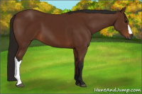 Horse Color:Gray Bay 