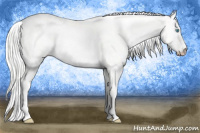 Horse Color:Silver Perlino Dun Rabicano 