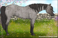 Horse Color:Smoky Grullo Roan 
