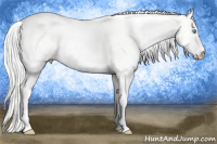 Horse Color:Cremello Dun 