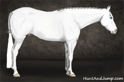 Horse Color: Silver Smoky Creme Dun 