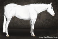 Horse Color:Silver Smoky Creme Dun 