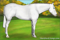 Horse Color:Silver Perlino Dun 