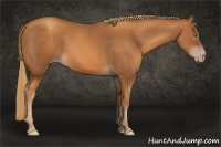 Horse Color:Gray Gold Champagne