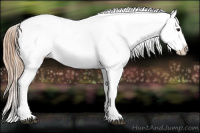 Horse Color:Liver Chestnut Sabino Blanket 