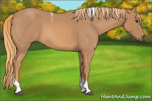 Horse Color: Red Roan Tobiano 