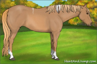 Horse Color:Red Roan Tobiano