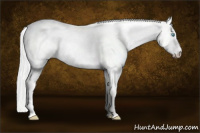Horse Color:Cremello Dun 