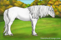 Horse Color:Cremello Dun 