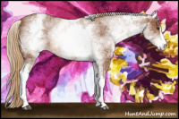 Horse Color:White Spotted Chestnut Sabino 