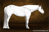 Horse Color:Bay Splash Tobiano Frame 