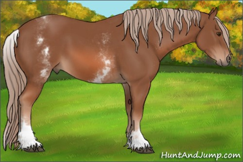Horse Color: White Spotted Chestnut Sabino 