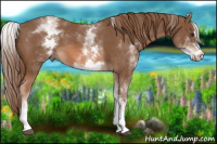 Horse Color:White Spotted Chestnut Sabino