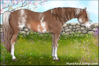 Horse Color:White Spotted Liver Chestnut Sabino 