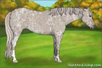 Horse Color:Silver Grullo Ice