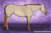 Horse Color:Liver Red Dun Roan 