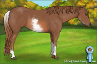 Horse Color:White Spotted Chestnut Sabino