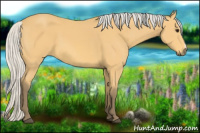 Horse Color:Silver Buckskin 