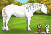 Horse Color:Gold Champagne Splash Blanket 