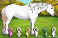 Horse Color:Classic Champagne Blanket 