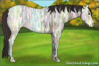Horse Color:Buckskin Ice 