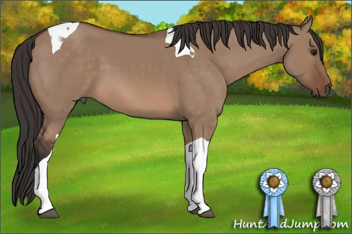 Horse Color: Bay Dun Tobiano 