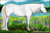 Horse Color:Smoky Black Appaloosa Rabicano 