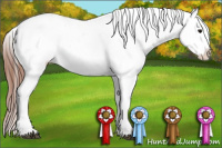 Horse Color:Black Leopard Rabicano 