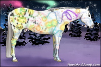 Horse Color:Black Appaloosa Rabicano