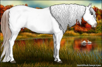 Horse Color:Black Near Leopard Rabicano 