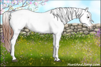 Horse Color:Black Blanket Rabicano 
