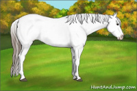 Horse Color:Black Varnish Rabicano 