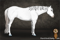 Horse Color:Black Blanket Rabicano 