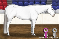Horse Color:Black Varnish Rabicano 