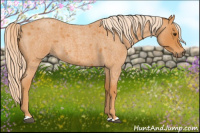 Horse Color:Chocolate Palomino Roan 