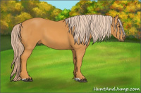 Horse Color:Chocolate Palomino 