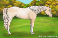 Horse Color:Chocolate Palomino Pearl