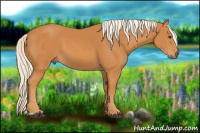 Horse Color:Chocolate Palomino 