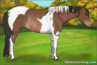 Horse Color:Bay Tobiano Rabicano 