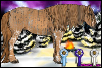 Horse Color:Gray White Spotted Black  Brindle