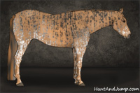 Horse Color:Gray White Spotted Black  Brindle