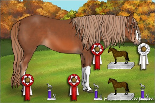 Horse Color: Liver Chestnut 