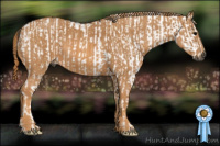 Horse Color:Gray White Spotted Black Brindle