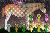 Horse Color:Gray White Spotted Black  Brindle