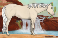 Horse Color:Silver Classic Cream Champagne 