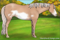 Horse Color:Silver Amber Champagne Frame 