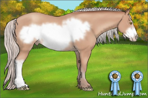 Horse Color: Silver Amber Champagne Frame 