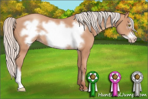Horse Color: Silver Amber Champagne Frame 