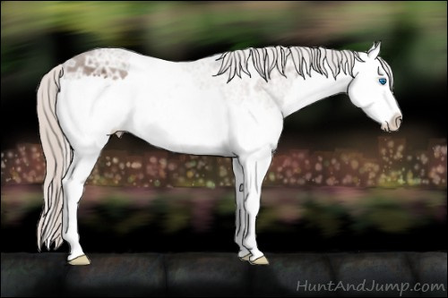 Horse Color: Silver Black Ice Splash 