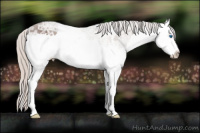 Horse Color:Silver Black Ice Splash 